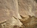 PICTURES/Crow Canyon Petroglyphs - Big Warrior Panel/t_IMG_5534.jpg